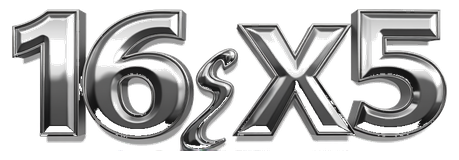 16x5 logo